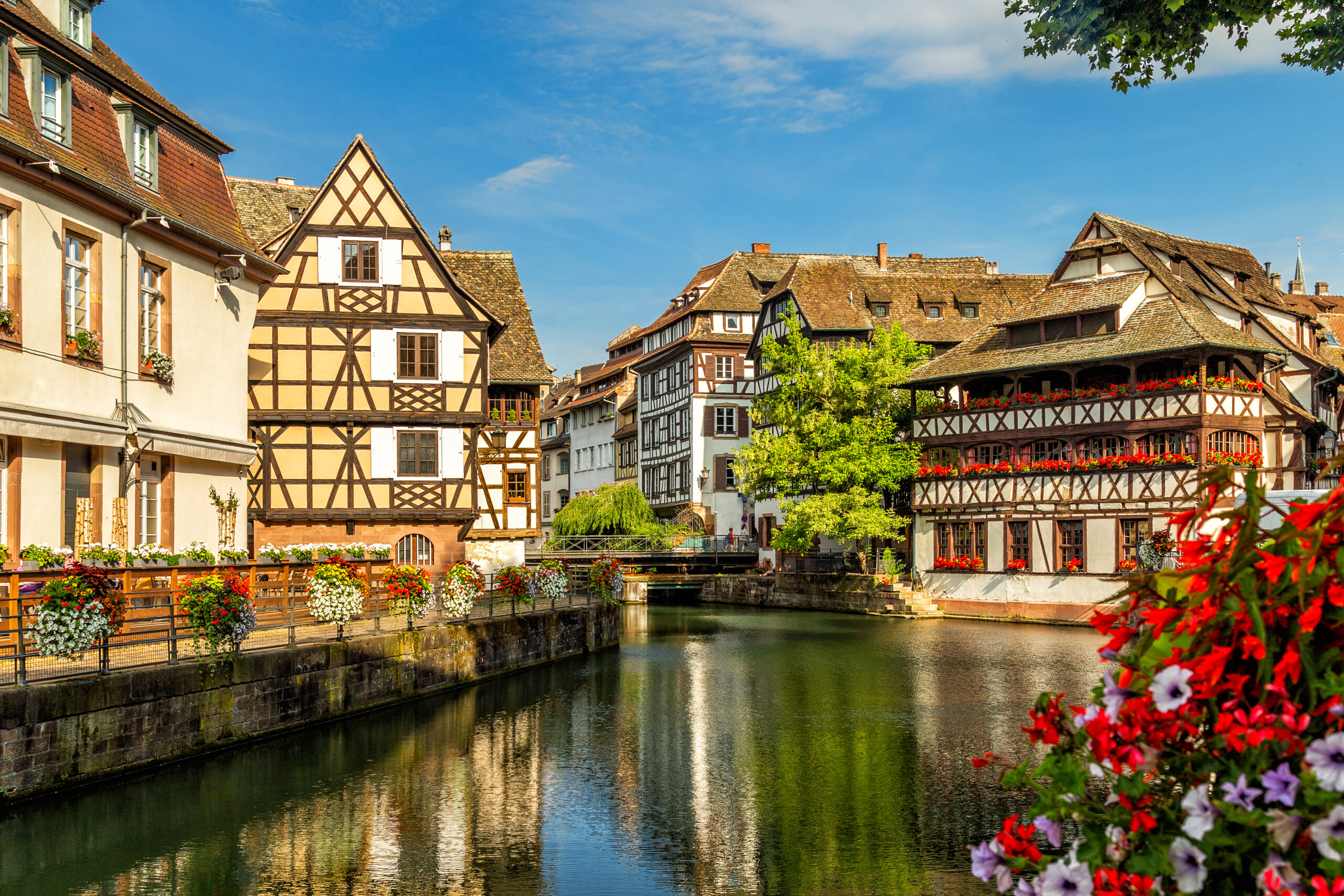 How Strasbourg celebrates its title as UNESCO World Book Capital 2024